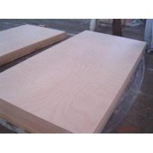 Hot! Commercial Plywood/Okoume Plywood